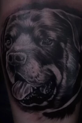 Realistic Tattoo Hund Tattoos Köln Tatöwierer Tattoostudio Art MF